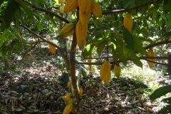 DSC02078