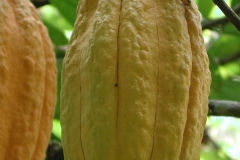 EPSN0064